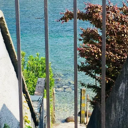 Azzurra *